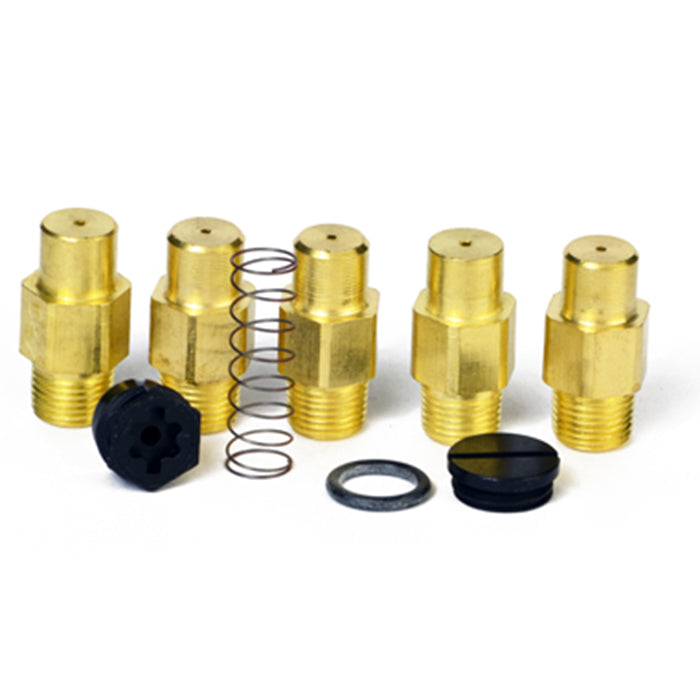 Big Maxx Fuel Conversion Kit - NG to LP